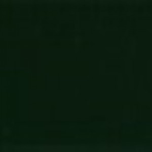 Fir Green RAL 6009