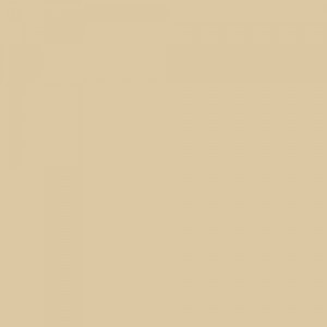 Light Ivory (RAL 1015)