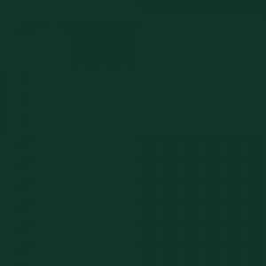 Moss Green (RAL6005)