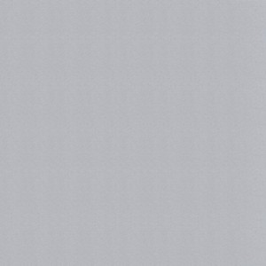 White Aluminium (RAL 9006)